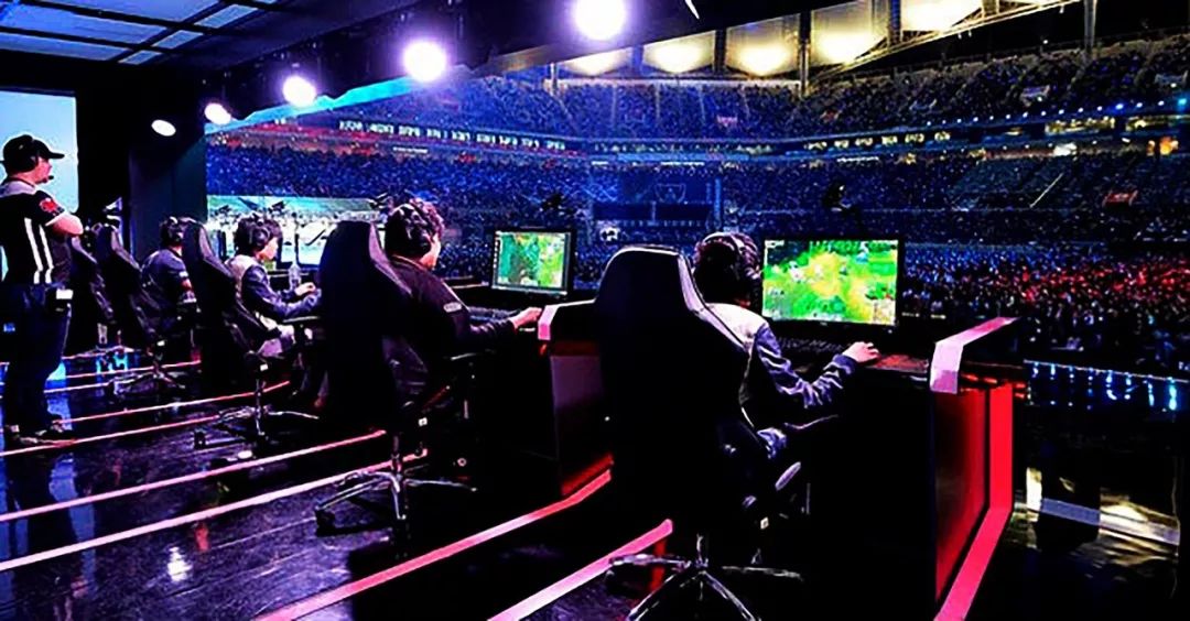 提供了全新 提供了全新